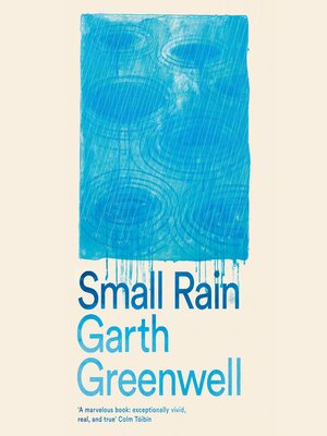 cover image of Small Rain